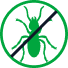 Termite-and Borer-Free